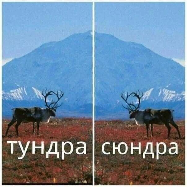 Два кадра здания Верховного суда США с надписями «Здание Верховного суда» и «Здание Верховного туда (4 из 6)