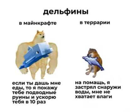Мем от Qlla