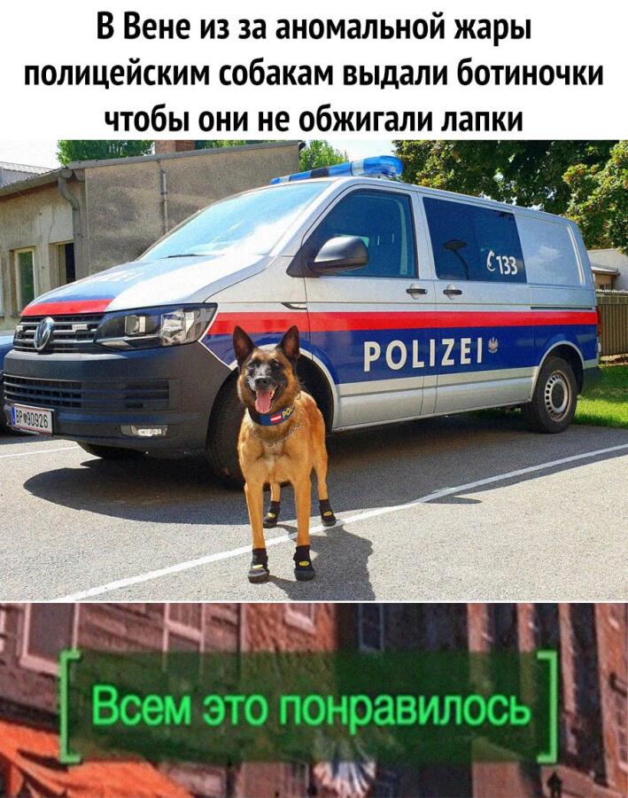Мем от Бузова какая-то
