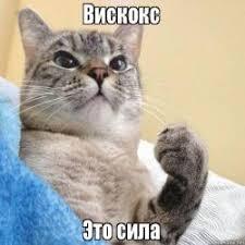 Все согласны?