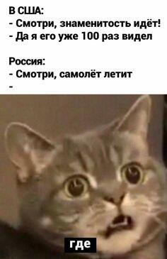 Мем от Мемный_Кот