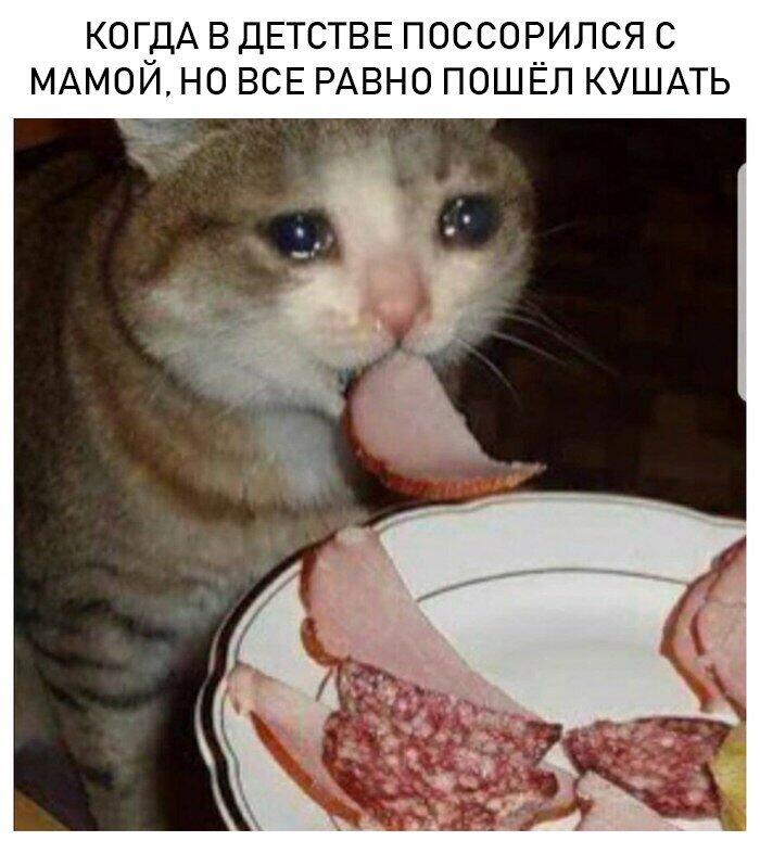 Мем от Мемный_Кот