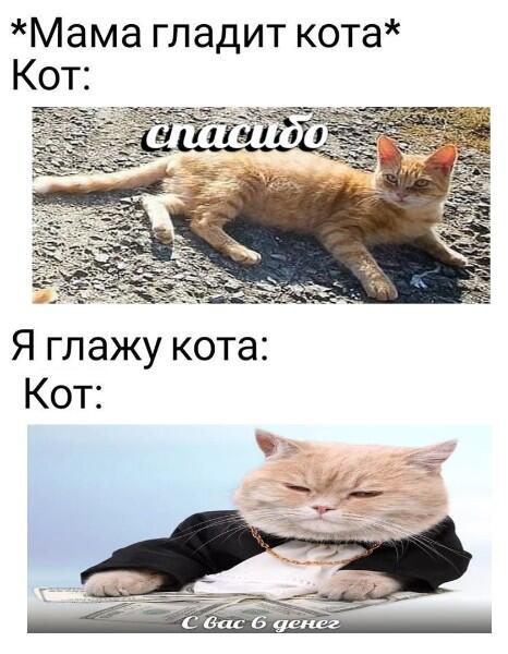 Мем от Мемный_Кот