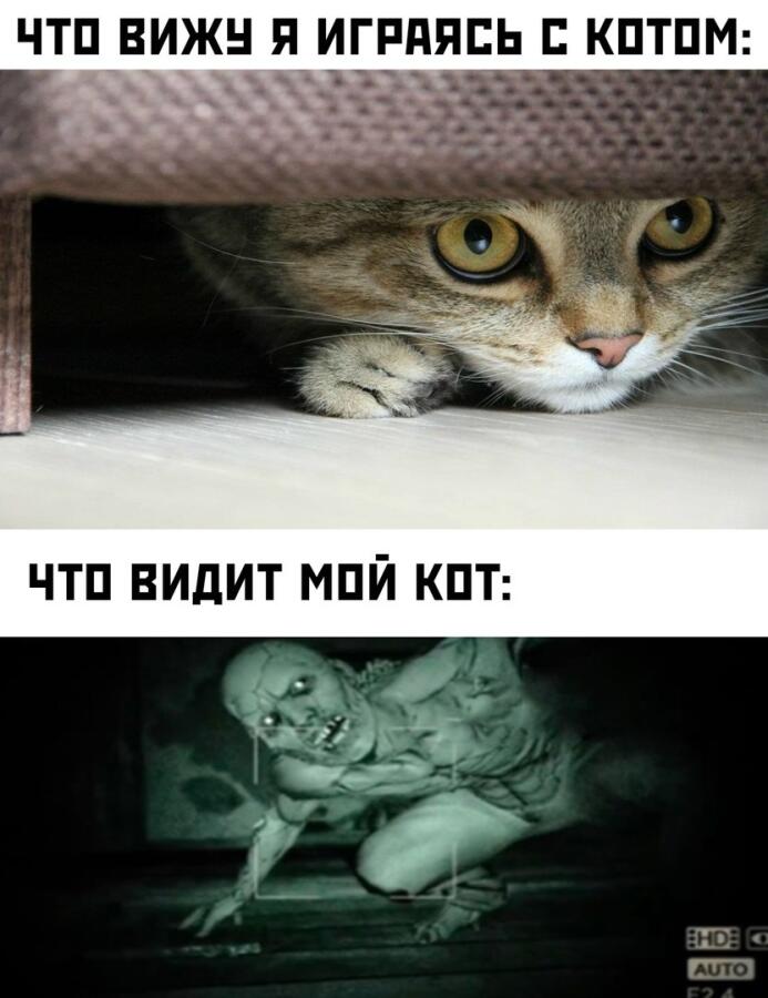 Мем от Мемный_Кот