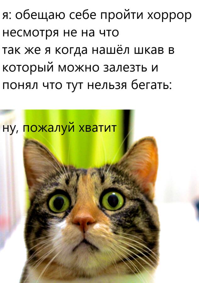 я и хорроры