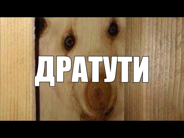 Мем от Oleg_TOP