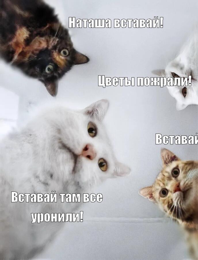 Всем Наташам от души.