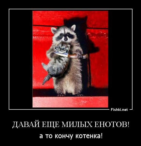 хехе енот