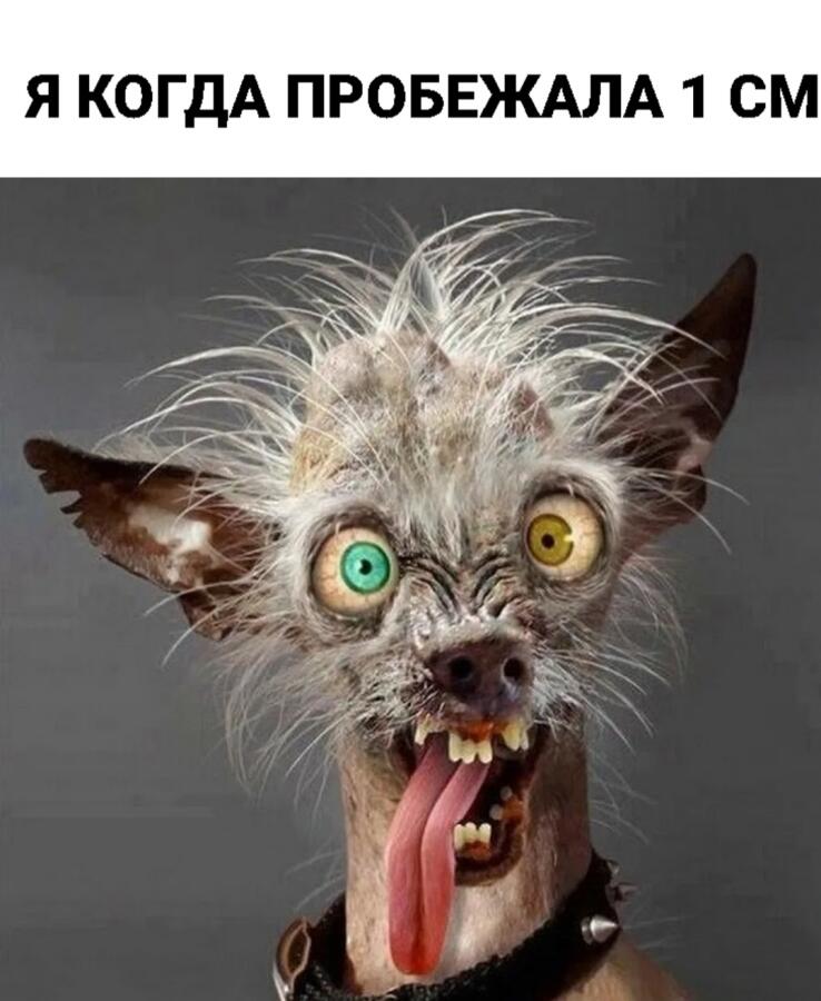 Мем без подписи