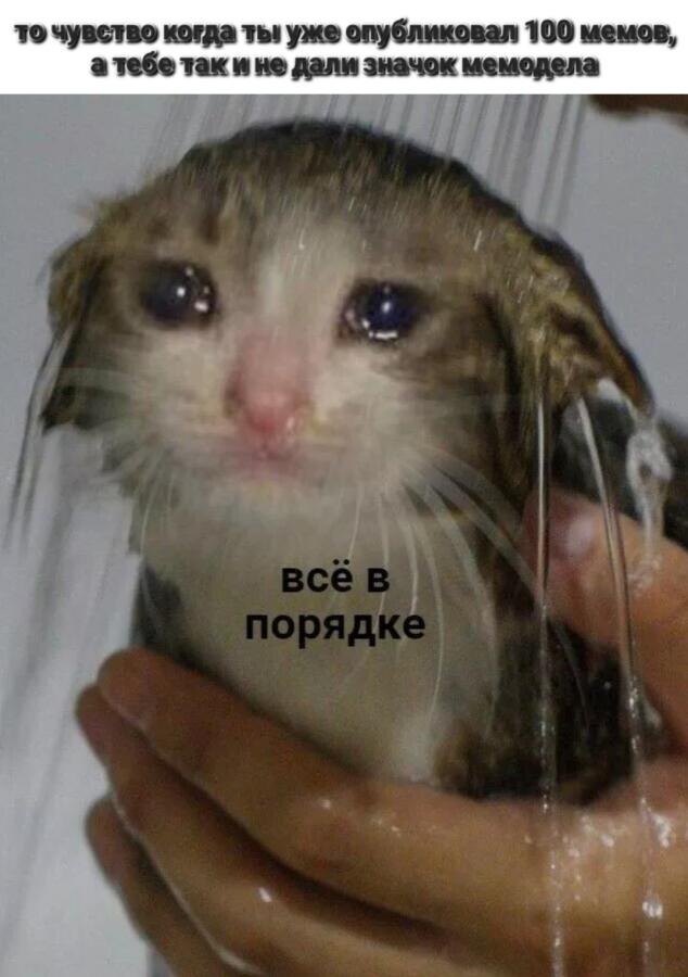 Слишком жизненно чтобы быть жизой. Это жижиза🙂