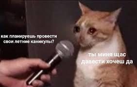 жиза