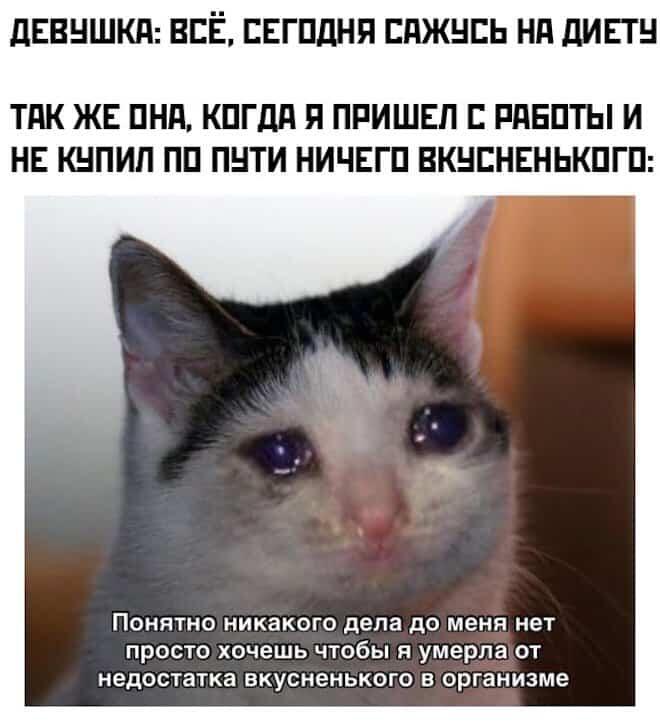Девушки Огайо би лайк: