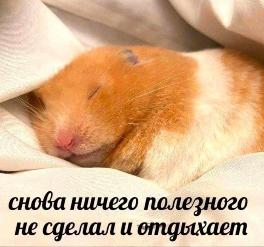 Я в пятницу,а ну да я всегда: