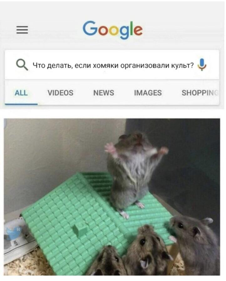 Ахаха прорвало