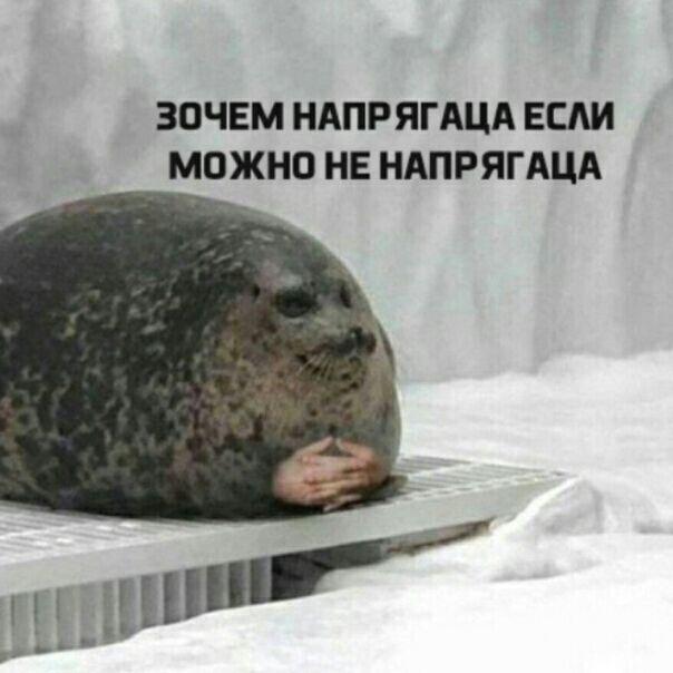 Ненуачё?