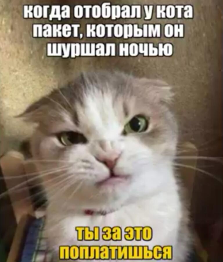 Мем от Mellsy