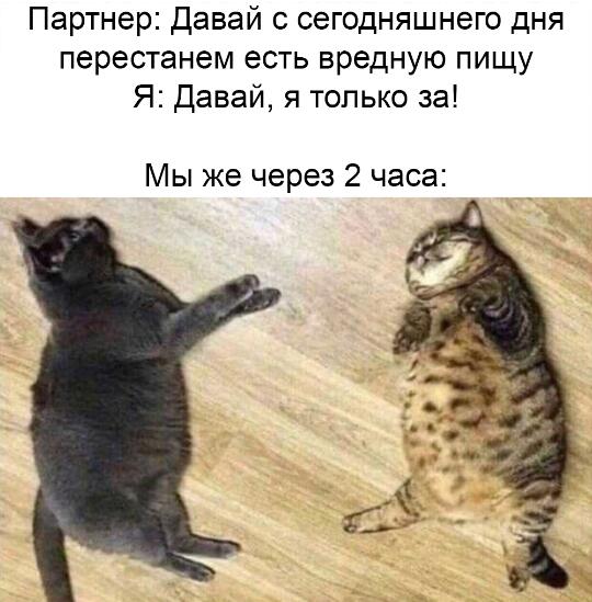 Мем от Mellsy