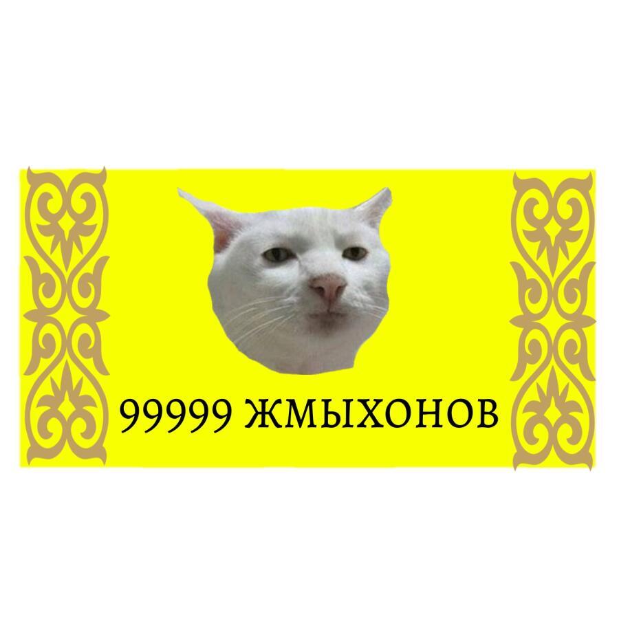 У меня есть деньги откуда взял не спрашивайте