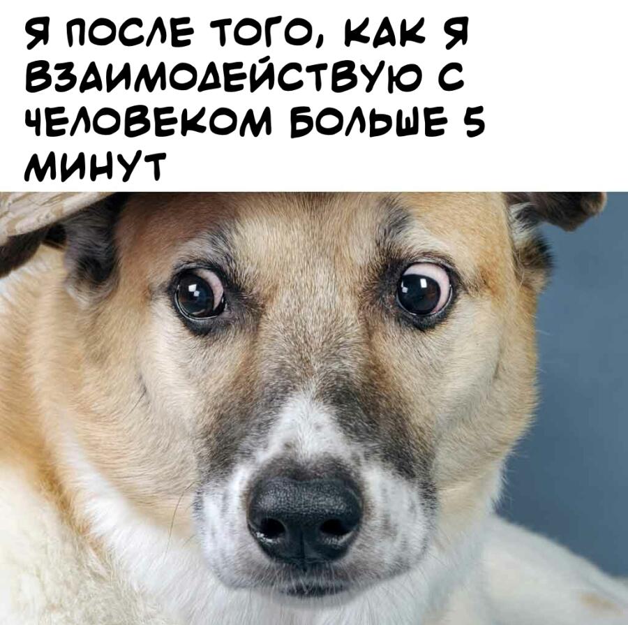 Мем от fanzelel