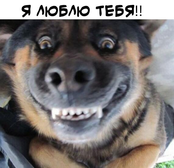Мем от fanzelel