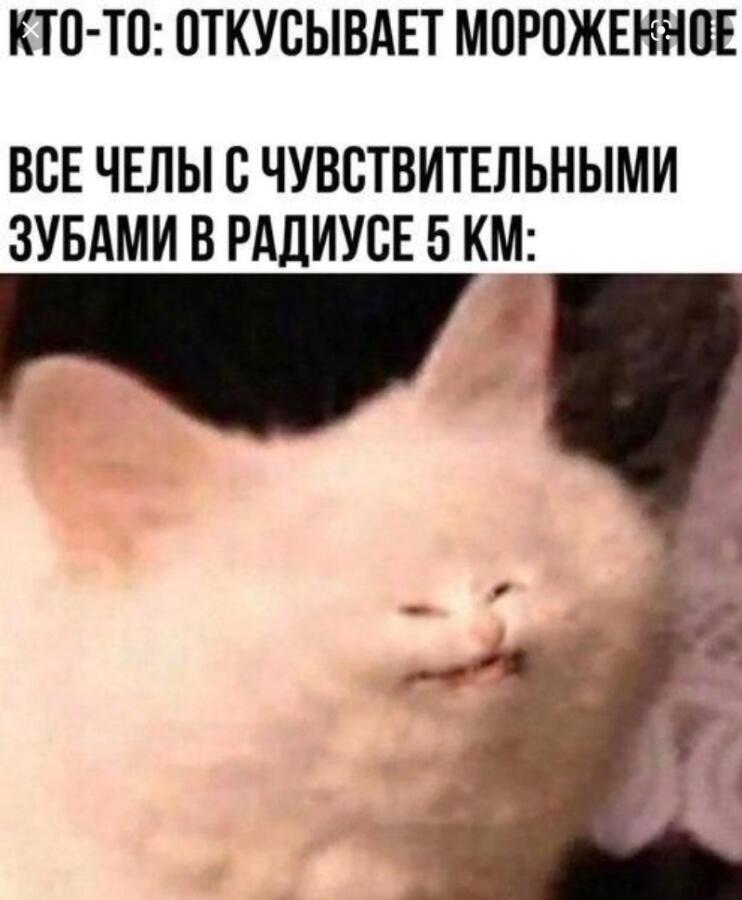 Мем от Мидо́ри
