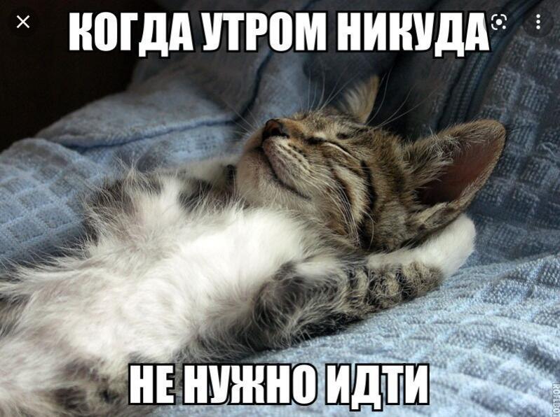 И так на протяжении трёх месяцев!😁
