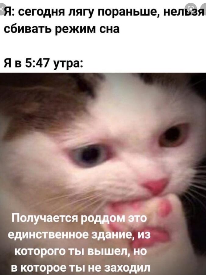 Мем от Мидо́ри