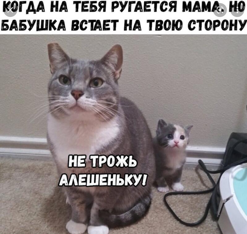 Мем от Мидо́ри