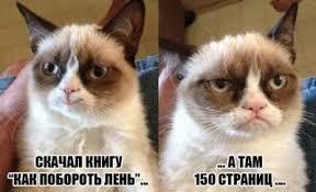 Мем от Мидо́ри