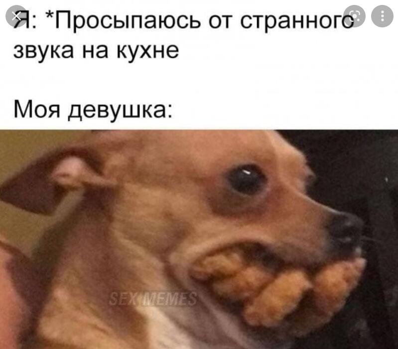 Мем от Мидо́ри