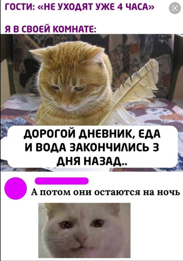 Мем от Мидо́ри