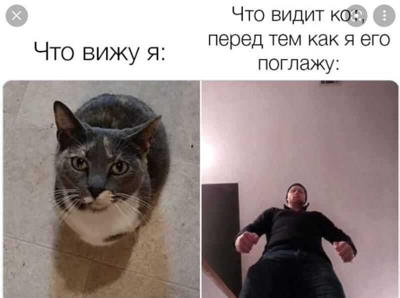 Мем от Мидо́ри