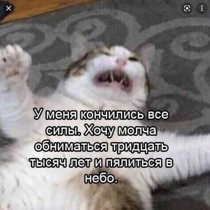 Мем без подписи
