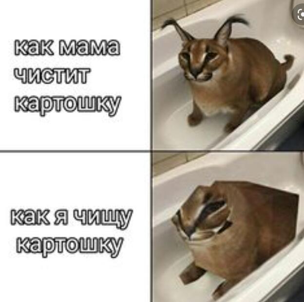 Мем без подписи