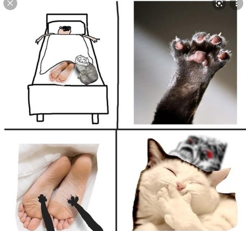 Мем от Мидо́ри