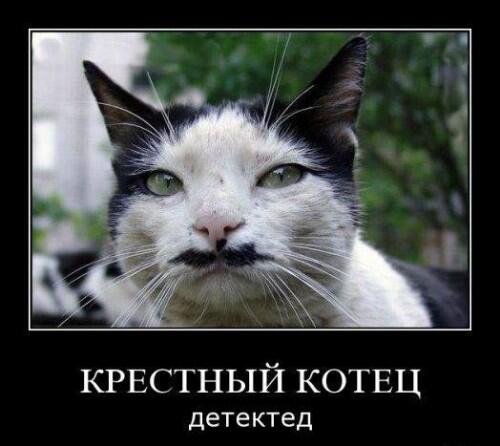Мем от Мидо́ри