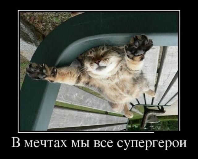 Мем от Мидо́ри