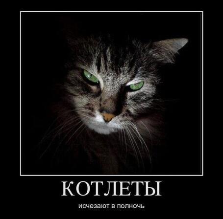Мем от Мидо́ри