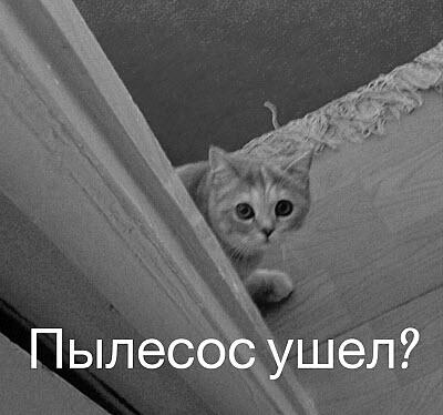 Мем от Мидо́ри