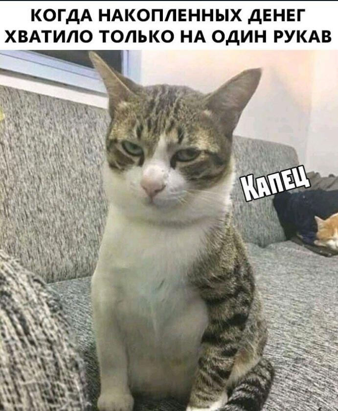 Мем без подписи