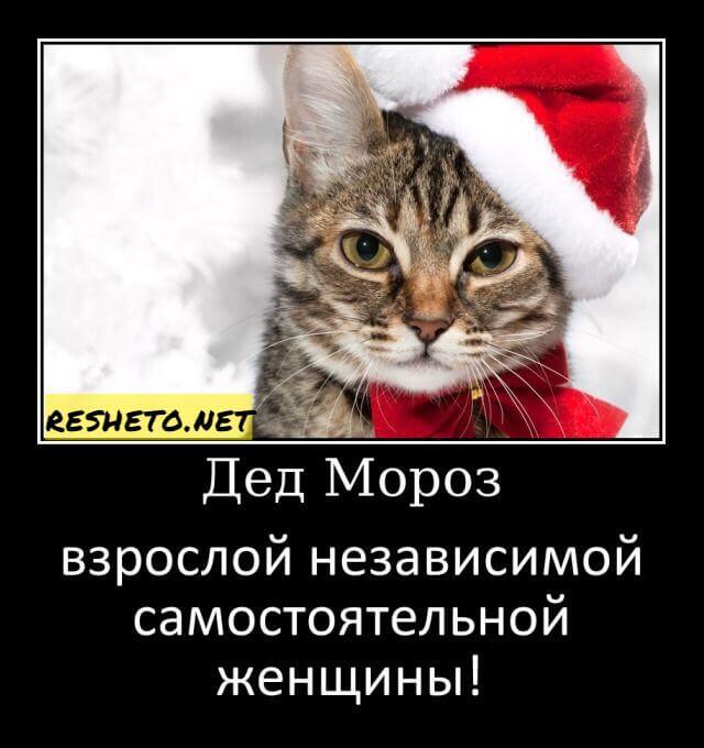 Мем без подписи