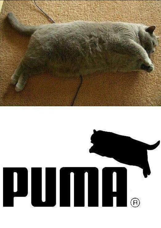 Мем от Мидо́ри
