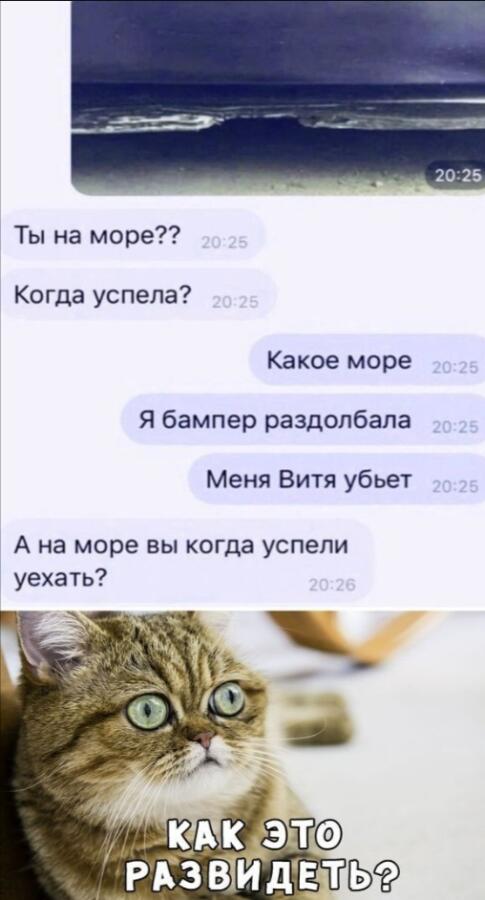 Мем от Мидо́ри