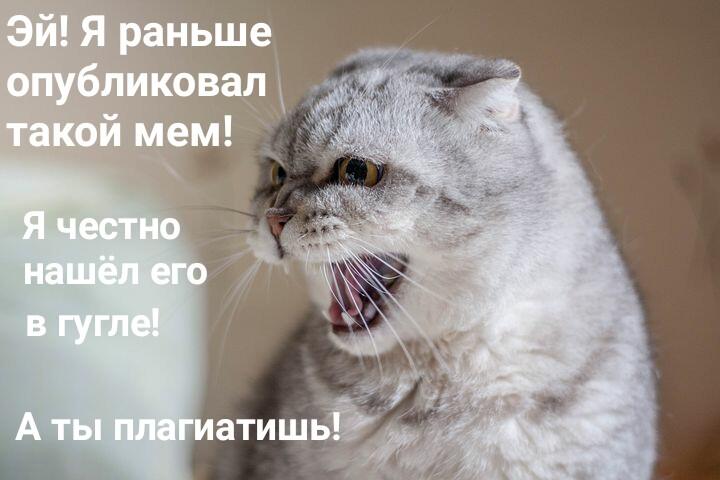 Мем от Мидо́ри