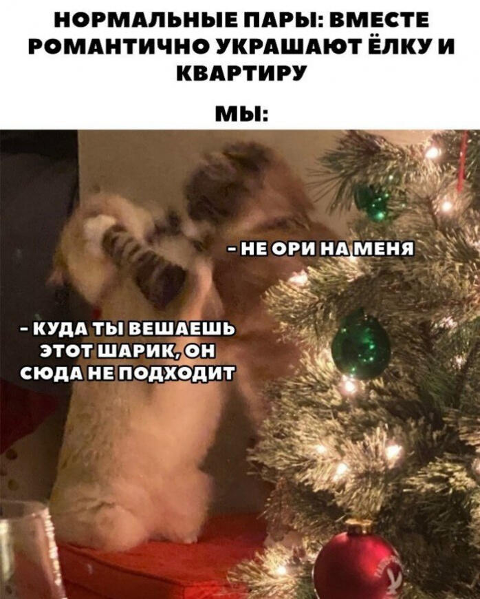 Мем от Мидо́ри