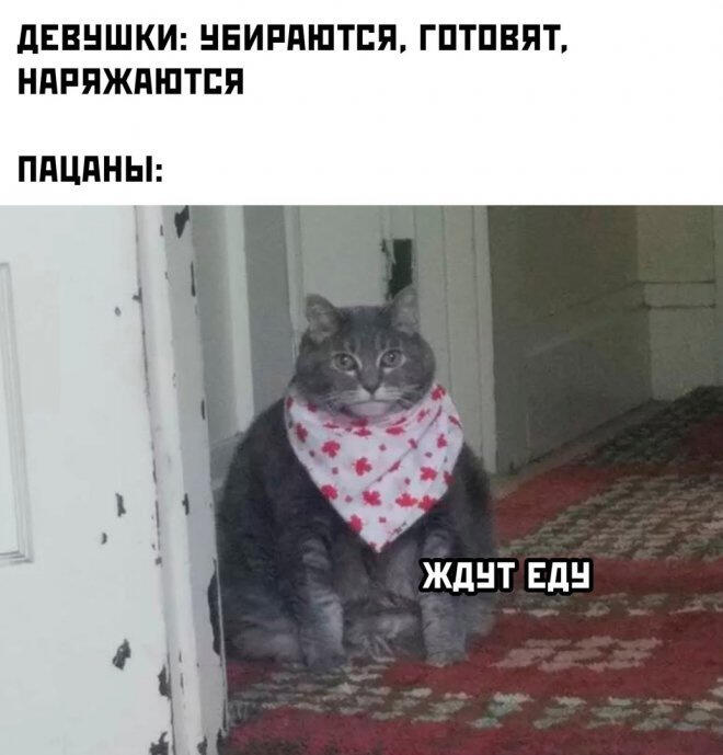 Мем от Мидо́ри