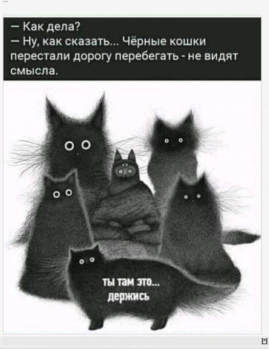 Мем от Мидо́ри