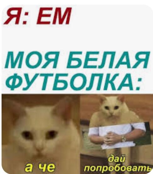 Белые футболки самые прожорливые!