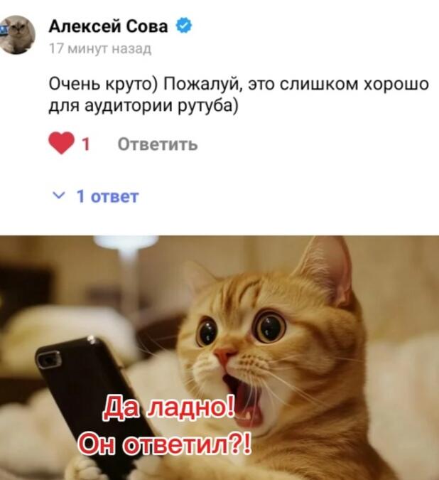 Верьте в чудо,и оно сбудется🤩