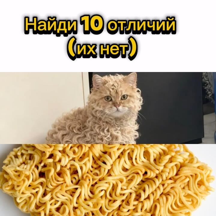 ㅤ